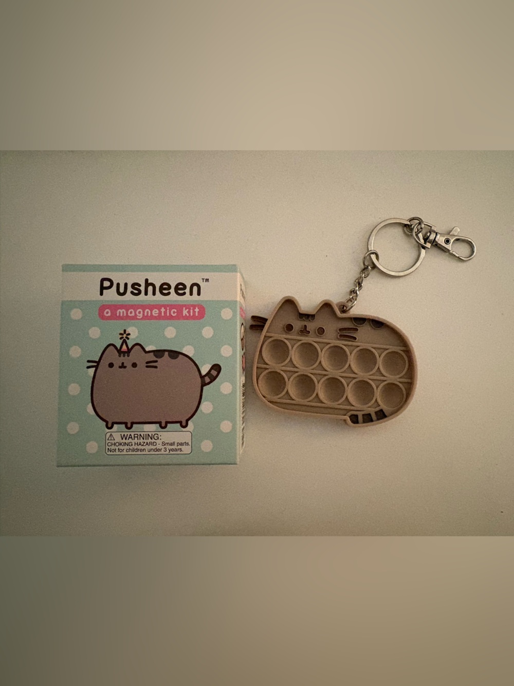 Pusheen magnet playset and fidget bag charm bundle